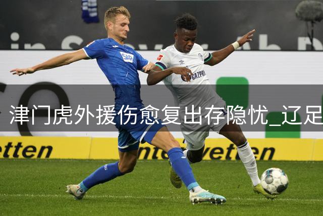 津门虎外援伤愈复出存隐忧 辽足迎关键保级战良机